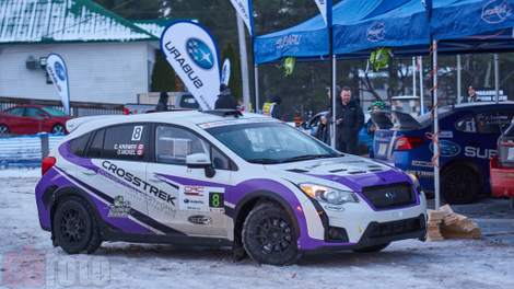 Illustration for article titled Rally of the Tall Pines 2016 Photodump